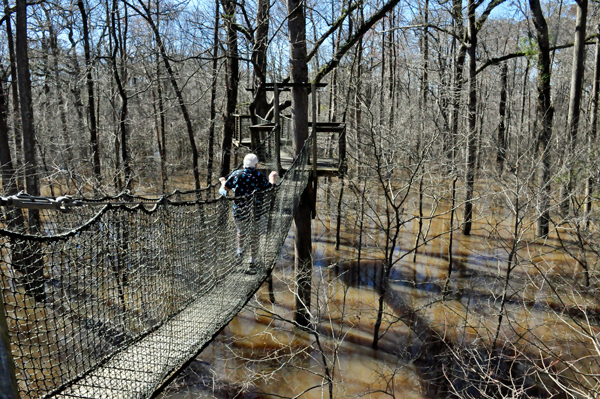 Lee Duquette on the tree-top canopy walk